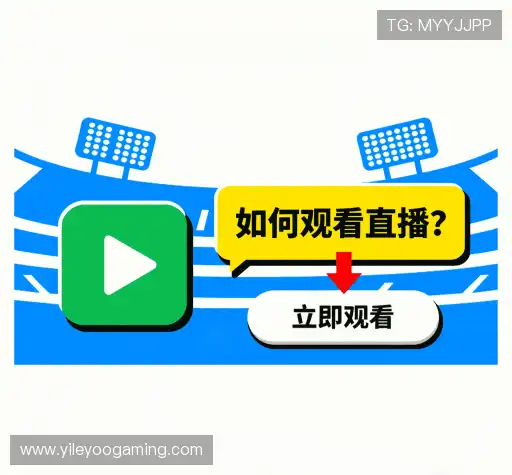 用户常见疑问